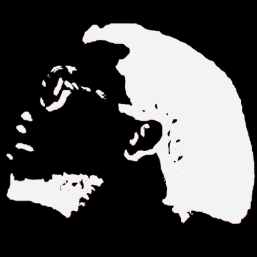 Logo of MamaQua Records featuring a silhouette of a person looking upwards in black and white.